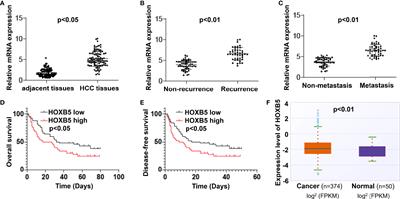 miR-200a-3p- and miR-181-5p-Mediated HOXB5 Upregulation Promotes HCC Progression by Transcriptional Activation of EGFR